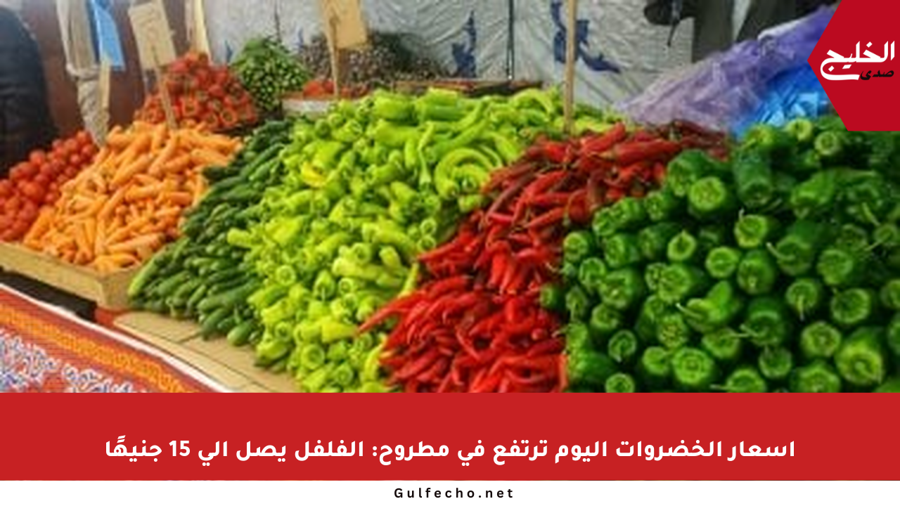 أسعار الخضروات اليوم ترتفع في مطروح: الفلفل يصل إلى 15 جنيهًا